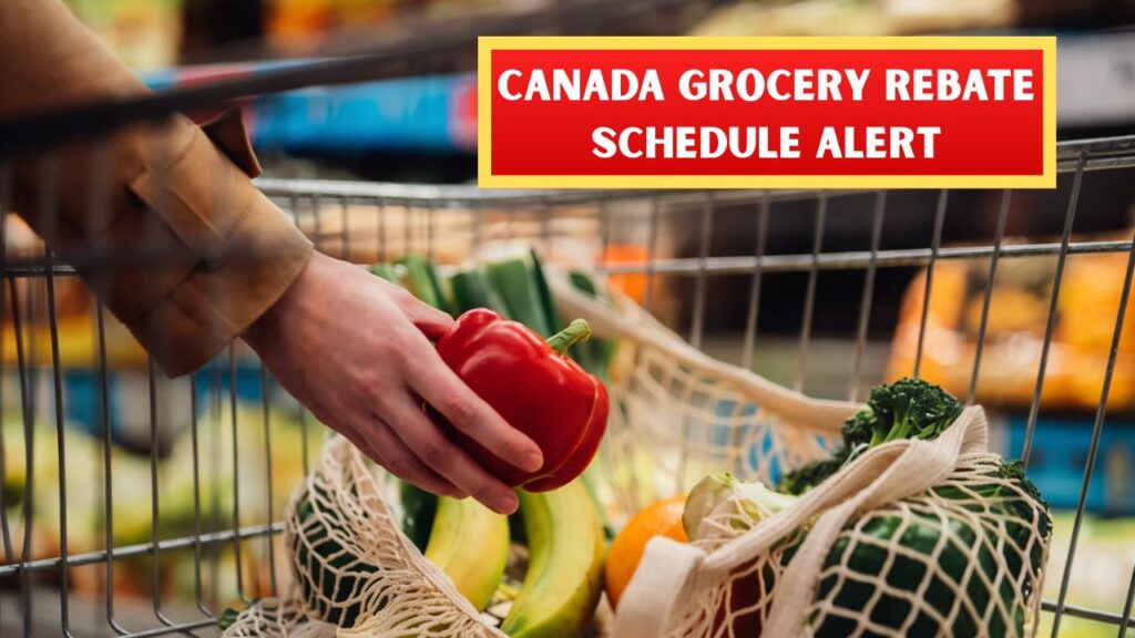 Canada Grocery Rebate Schedule Alert