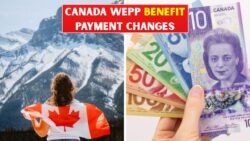 Canada WEPP Benefit Reaches $8,844 in February 2026 – Wage Protection Payments Eligibility and Claim Changes
