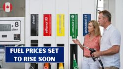 Goodbye to Cheap Fuel: Petrol Prices Expected to Rise by $0.25 Per Litre From 15 February 2026