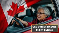 Goodbye Old Driver’s License in Canada Mandatory Updates Needed Before New $500 Fines Take Effect