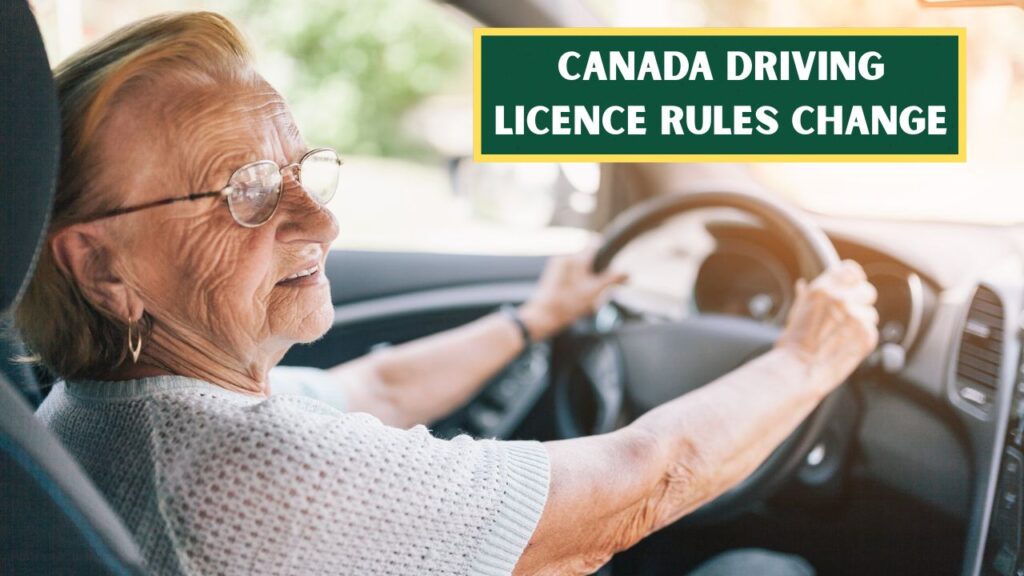 Senior Drivers Face New License Rules