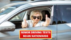 Goodbye To No-Test Licence Renewals: New Senior Driving Checks Begin Feb 12, 2026